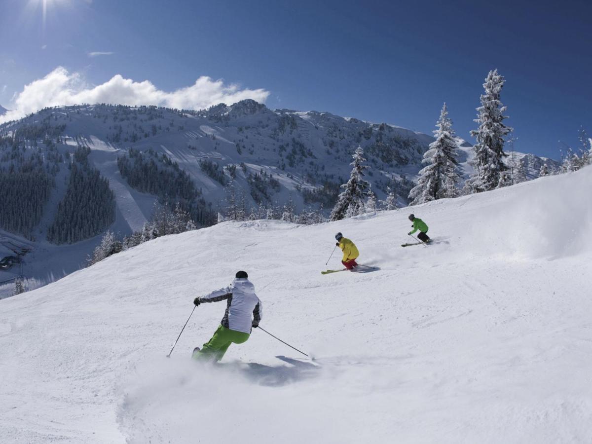 Quiet Holiday Flat Near The Mayrhofen Ski Area シュヴェンダウ エクステリア 写真